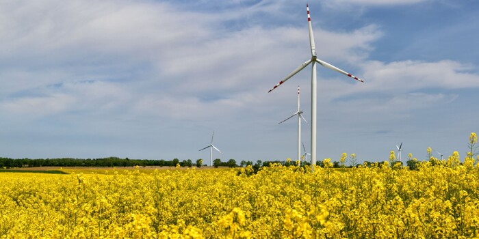 Windmolen bloemen duurzame energie.jpg